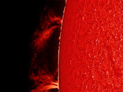 QUARK PROMINENCE Filter