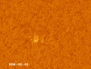 MAGNESIUM Quark filter