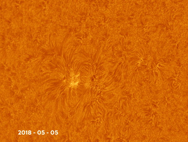 MAGNESIUM Quark filter