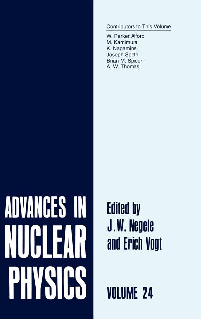 Advances in Nuclear Physics: Volume 24 (1998)