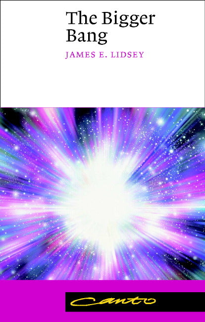 The Bigger Bang (Revised)
