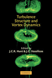 Turbulence Structure and Vortex Dynamics