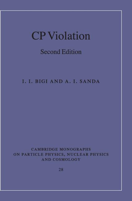 CP Violation