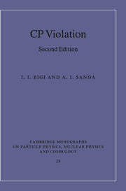 CP Violation