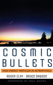 Cosmic Bullets: High Energy Particles in Astrophysics