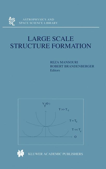 Large Scale Structure Formation (2000)