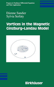 Vortices in the Magnetic Ginzburg-Landau Model (2007)