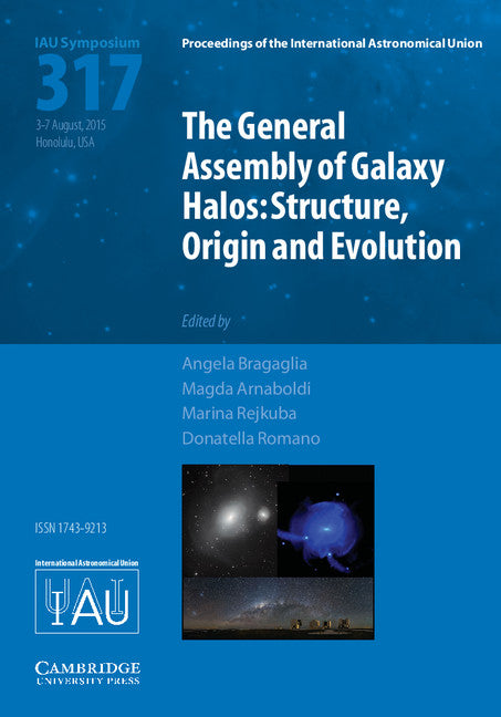 The General Assembly of Galaxy Halos (IAU S317)