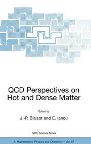 QCD Perspectives on Hot and Dense Matter (2002)