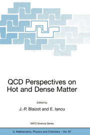 QCD Perspectives on Hot and Dense Matter (2002)