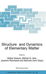 Structure and Dynamics of Elementary Matter (2004)