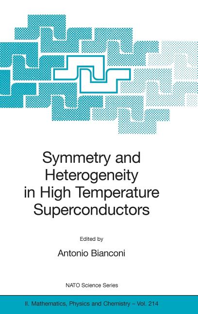 Symmetry and Heterogeneity in High Temperature Superconductors (2006)