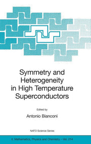 Symmetry and Heterogeneity in High Temperature Superconductors (2006)