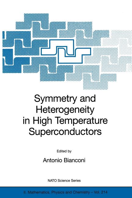 Symmetry and Heterogeneity in High Temperature Superconductors (2006)