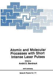 Atomic and Molecular Processes with Short Intense Laser Pulses (Softcover Reprint of the Original 1st 1988)