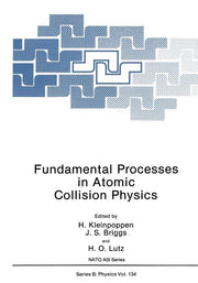 Fundamental Processes in Atomic Collision Physics (1985)