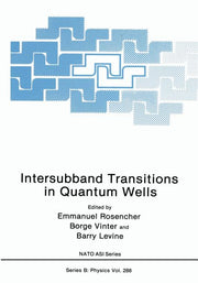 Intersubband Transitions in Quantum Wells (Softcover Reprint of the Original 1st 1992)