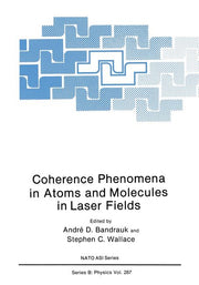 Coherence Phenomena in Atoms and Molecules in Laser Fields (Softcover Reprint of the Original 1st 1992)