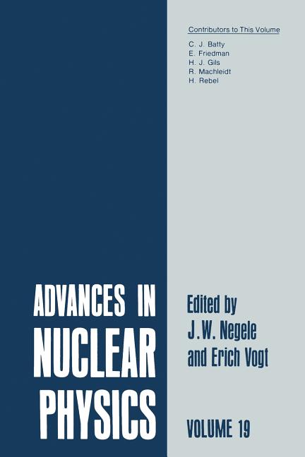 Advances in Nuclear Physics: Volume 19 (Softcover Reprint of the Original 1st 1989)