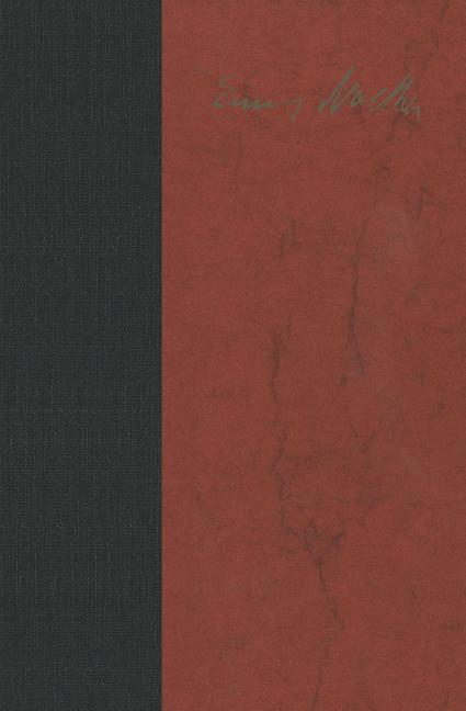 Emmy Noether 1882-1935 (Softcover Reprint of the Original 1st 1981)