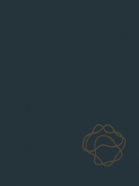 Handbook of Generalized Gas Dynamics (Softcover Reprint of the Original 1st 1966)