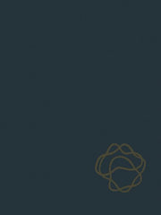 Handbook of Generalized Gas Dynamics (Softcover Reprint of the Original 1st 1966)