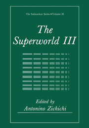 The Superworld III (Softcover Reprint of the Original 1st 1990)