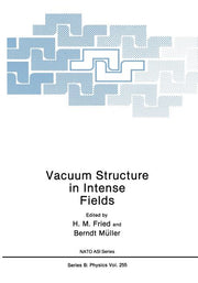 Vacuum Structure in Intense Fields (Softcover Reprint of the Original 1st 1991)