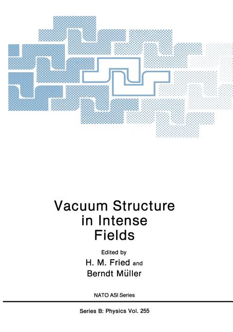 Vacuum Structure in Intense Fields (Softcover Reprint of the Original 1st 1991)