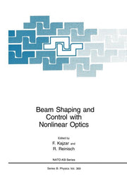 Beam Shaping and Control with Nonlinear Optics (Softcover Reprint of the Original 1st 2002)