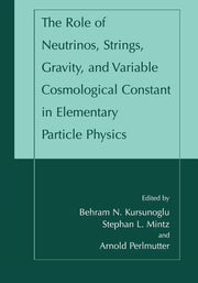 The Role of Neutrinos, Strings, Gravity, and Variable Cosmological Constant in Elementary Particle Physics (Softcover Reprint of the Original 1st 2002)