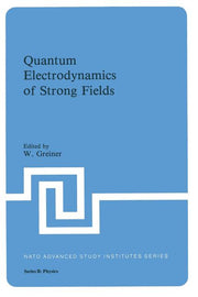 Quantum Electrodynamics of Strong Fields (Softcover Reprint of the Original 1st 1983)