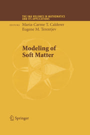 Modeling of Soft Matter (2005)