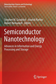 Semiconductor Nanotechnology: Advances in Information and Energy Processing and Storage (Softcover Reprint of the Original 1st 2018)