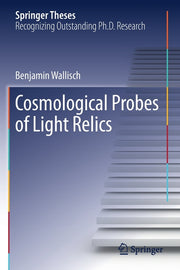 Cosmological Probes of Light Relics (2019)