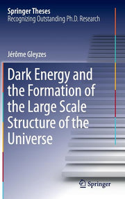 Dark Energy and the Formation of the Large Scale Structure of the Universe (2016)