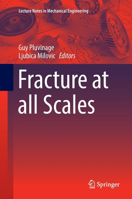 Fracture at All Scales (Softcover Reprint of the Original 1st 2017)