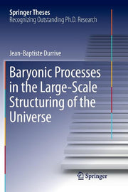 Baryonic Processes in the Large-Scale Structuring of the Universe (Softcover Reprint of the Original 1st 2017)