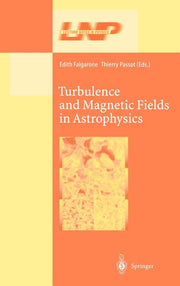 Turbulence and Magnetic Fields in Astrophysics (2003)
