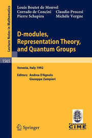 D-Modules, Representation Theory, and Quantum Groups: Lectures Given at the 2nd Session of the Centro Internazionale Matematico Estivo (C.I.M.E.) Held