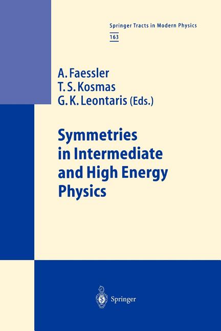 Symmetries in Intermediate and High Energy Physics (Softcover Reprint of the Original 1st 2000)