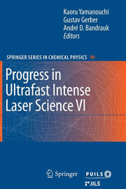 Progress in Ultrafast Intense Laser Science VI (2010)
