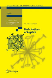 Basic Notions of Algebra (2005)