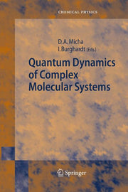 Quantum Dynamics of Complex Molecular Systems (2007)