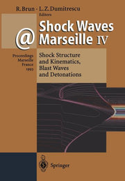 Shock Waves @ Marseille IV: Shock Structure and Kinematics, Blast Waves and Detonations (Softcover Reprint of the Original 1st 1995)