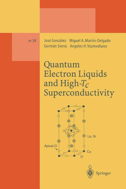 Quantum Electron Liquids and High-Tc Superconductivity (Softcover Reprint of the Original 1st 1995)