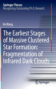 The Earliest Stages of Massive Clustered Star Formation: Fragmentation of Infrared Dark Clouds (2015)