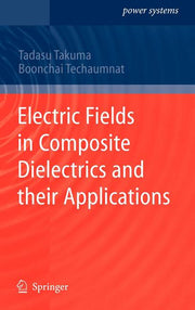 Electric Fields in Composite Dielectrics and Their Applications (2010)
