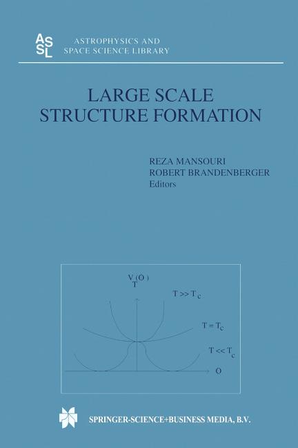 Large Scale Structure Formation (Softcover Reprint of the Original 1st 2000)