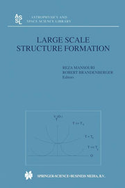 Large Scale Structure Formation (Softcover Reprint of the Original 1st 2000)